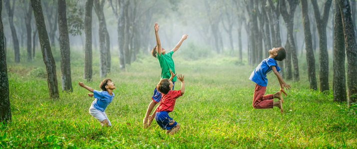 Move Play Grow, Move for Life, Play to Learn, Grow With Love, Kinesthetic Learning, Physiological effects of movement, Mental benefits of movement, Developmental coordination